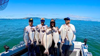 California Halibut Catch and Cook Garden Fresh Veggies [upl. by Bust]