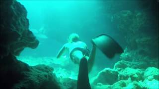 Freediving Kittiwake and Eden Rock Grand Cayman [upl. by Enitsirhk958]