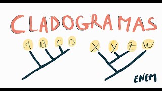 CLADOGRAMAS NO ENEM [upl. by Landis]