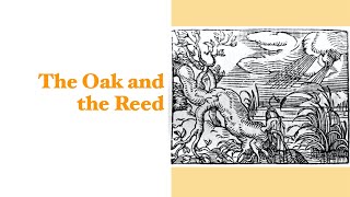 The Oak and the Reed [upl. by Durrace]