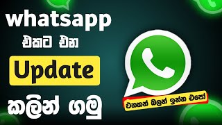 How to whatsapp beta join in sinhala  Whatsapp Update කාටත් කලින් [upl. by Almund]