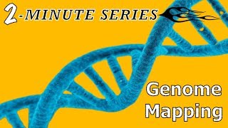 2Minute Series  Genome Mapping DNA Gene Chromosome [upl. by Ellery]