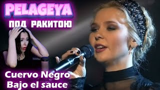 PELAGEYA  Cuervo Negro  Bajo el Sauce ПЕЛАГЕЯ Чорний Ворон  ARGENTINA REACCION amp ANALISIS [upl. by Ama]