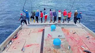 Maldives skipjack tuna fishing  how to fishing Maldives Deep Sea [upl. by Aprile]