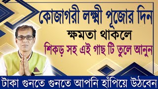 কোজাগরী লক্ষ্মী পূজার দিন শিকড় সহ এই গাছটি তুলে নিয়ে আসুন। টাকা গুনতে গুনতে আপনি হাঁপিয়ে উঠবেন [upl. by Ettenim]