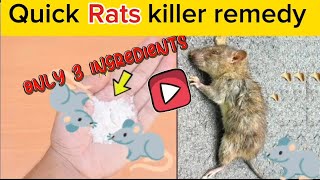 Rat killer remedy at home mouse killer remedies rat poison rat trap homemade rat killer remedies [upl. by Leoine]