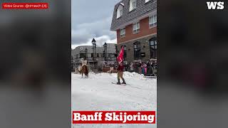 Skijoring in Banff a perfect winter family event [upl. by Lyrehs]