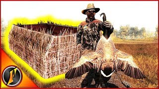 Hunting Geese from the New Waterfowl Blind [upl. by Elleved]