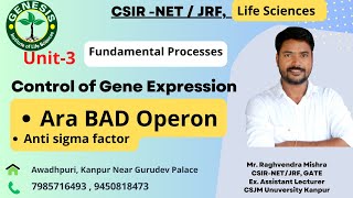 Ara BAD Operon  Gene regulation  Molecular Biology [upl. by Bobbye]