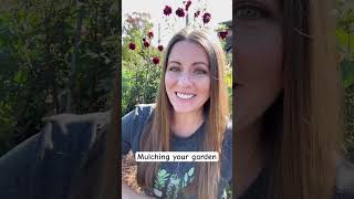 Why You Should Mulch Your Garden gardening gardentips mulching [upl. by Alegnave]