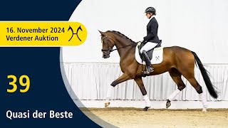 No 39 Quasi der Beste by QSieben  Sancisco  Verden Auction Online  Sporthorses  November 16th [upl. by Aititil]