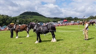 Rosedale Show 2017 [upl. by Gnaw]