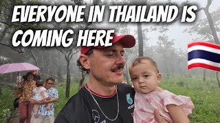 Everyone In Thailand Is Coming HERE [upl. by Perdita]