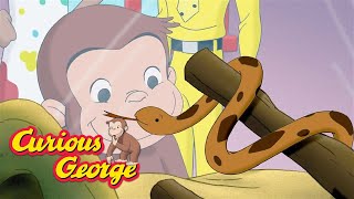 Georges New Snake Friend 🐵 Curious George 🐵 Kids Cartoon 🐵 Kids Movies [upl. by Auqenes]