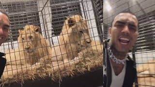 Lil Pump Claims That He Got Himself A Lion [upl. by Nolyarg645]