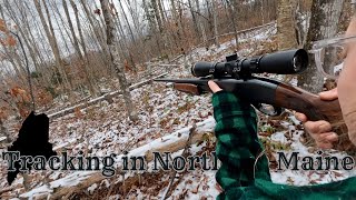 Tracking a Whitetail Buck in Northern Maine  Still Hunting  Sitting Game Trails  Deer Season [upl. by Conard299]