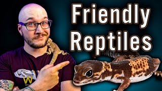 Top 5 Friendliest Reptiles  No Biting No Scratching All Love [upl. by Hesky812]