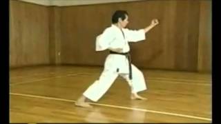 Ikeda Hoshu  Jyoshinmon karate kata Ananku [upl. by Aubrey899]