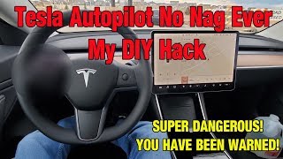 Tesla Model 3 Autopilot No Nag Ever  My Cheap DIY Hack [upl. by Tnattirb]