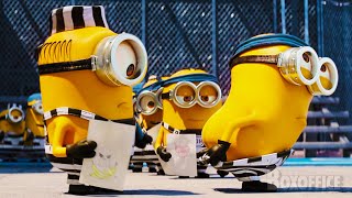 Meu Malvado Favorito Cenas mais engraçadas com Minions ⚡ 4K [upl. by Japha]