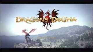 Dragons Dogma Solo Mystic Knight VS Daimon  Hard Mode  No damage  No Items Used [upl. by Delle893]