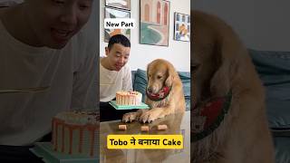 🐕Tobo ने बनाया Cake  mini wood toy  woodworking art skill  hand crafts shorts pets [upl. by Nageem367]