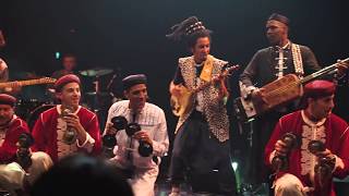 BEST OF DU GNAOUA FESTIVAL TOUR BATACLAN PARIS 2017 [upl. by Lienhard]