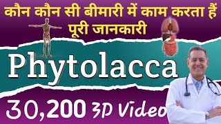 Phytolacca Homoeopathic Medicine uses in Hindi  Phytolacca 30  Phytolacca 200 Homoeopathic [upl. by Naujuj]