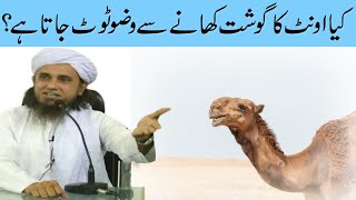 Oont Ka Gosht Khane Se Wazu Toot Jata Hai By Mufti Tariq Masood Sahab [upl. by Nnyluqcaj]