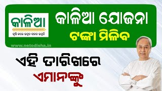 Kalia Yojana Big Update 9th March  Kalia Yojana Money Transfer 2024  Odisha Yojana [upl. by Earahs]