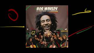 Turn Your Lights Down Low – Bob Marley and The Chineke Orchestra Visualiser [upl. by Cuyler140]