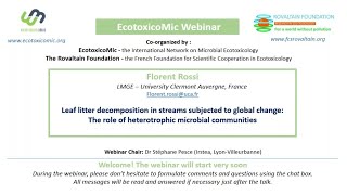 Leaf litter decomposition in streams subjected to GC role of heterotrophic microbial communities [upl. by Anertak85]