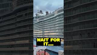 Most PREMIUM cruise package ever cruise msc royalcaribbean [upl. by Scornik533]