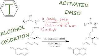 Swern Oxidation  Named Reactions  Organic Chemistry Lessons [upl. by Gallagher]