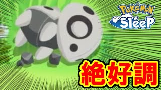 レア寝顔きたぞおおおおおおお！！！！！【ポケモンスリープ】 [upl. by Theron]