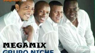 megamix el grupo niche [upl. by Myrvyn]