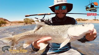 Fishing the Orange River at Slypsteen Safaris with Bo Karoo Fishing [upl. by Nahtaoj]