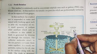 Froth Flotation  Metallurgy  12th Chemistry  In Tamil  Shivanis Classroom [upl. by Zeuqirdor734]