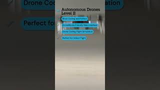 Autonomous Drones  Level II [upl. by Scoter]