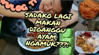 GILA  JADI SADAKO GARAGARA MAKAN SOSIS RASA SAPI SAMPE DIGANGGU AYAM [upl. by Ecart]