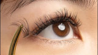 AtHome DIY Lashes vs Salon LashesWhat you need to know [upl. by Durward]