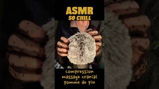 ASMR Croustillant  Compression amp Brushing mic no talking 😴 crunchy asmrsounds brushing [upl. by Asseret64]