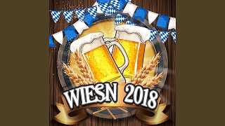 Oktoberfest Marsch Party Medley Oktoberfest 2018 Wiesn Mix [upl. by Novonod]