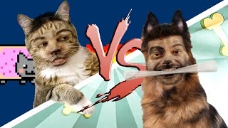 GATO vs CÃO ♫ [upl. by Ledif570]