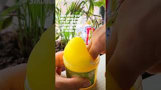 Talisa Tossells Slime Review shorts youtubeshorts talisatossell slime asmr tiktok [upl. by Ednalrim111]