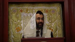 RAvner Yunayev Chok Lisrael Halachot Yom Kippur 10224 [upl. by Gilberto607]