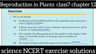 Reproduction in Plants class 7 chapter 12 science NCERT  exercise solutions [upl. by Odeen]