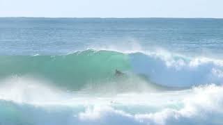 Surf Cowries Point South Coast NSW Jun2022 [upl. by Airekat]