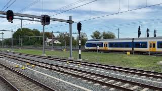 Treinen op Station Geldermalsen 2024 [upl. by Secnarf]