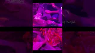 fish aquarium feedshorts Wafiq Wajid at mysore underwater aquarium [upl. by Bully578]